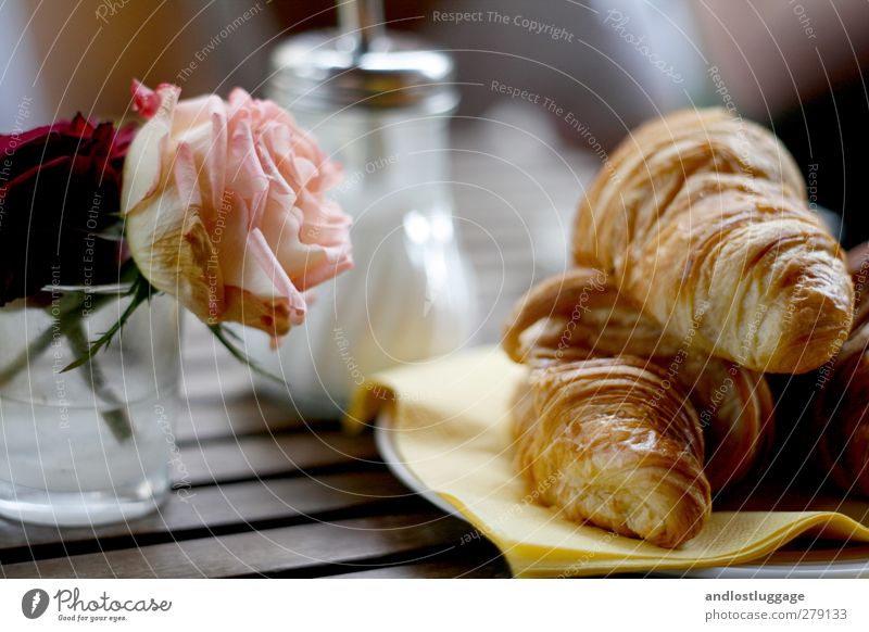 who tomorrow after the chamancinco. Food Dough Baked goods Sugar Croissant Nutrition Breakfast Lifestyle Contentment City trip Table Flower Rose Rose blossom