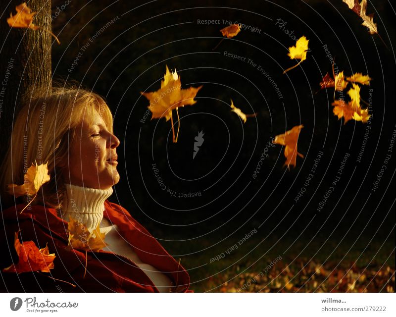 caressing in autumn Autumn Joy Well-being To enjoy Meditation Woman Adults Face Human being Nature Roll-necked sweater Blonde Relaxation leaves To fall Smiling