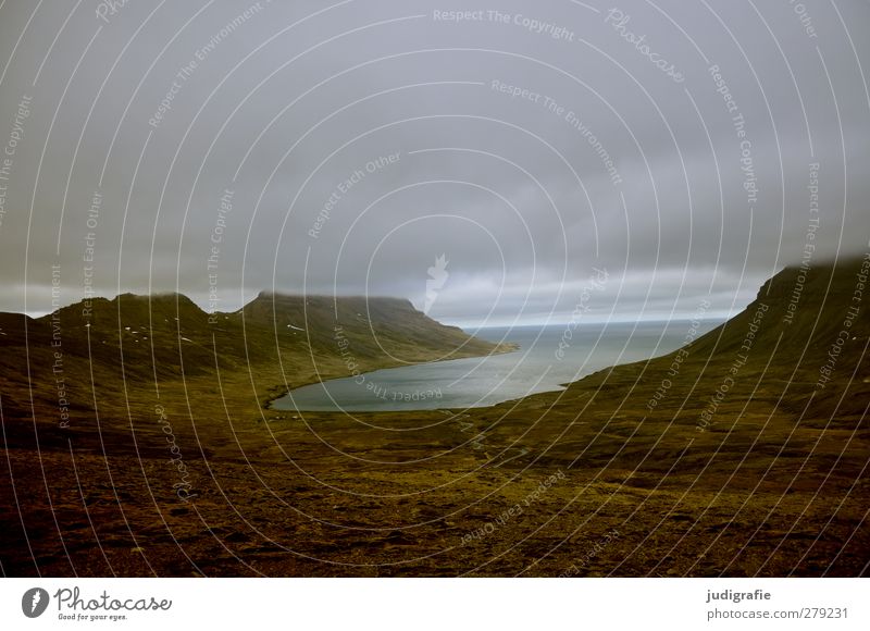 Iceland Environment Nature Landscape Water Clouds Climate Rock Coast Fjord Westfjord Exceptional Dark Natural Wild Moody Colour photo Subdued colour