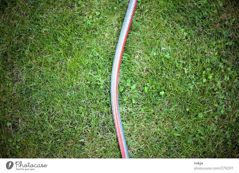 ...here you can watch water hoses... Garden Gardening Summer Grass Meadow Water hose Garden hose Hose Lie Vertical Colour photo Exterior shot Detail Deserted