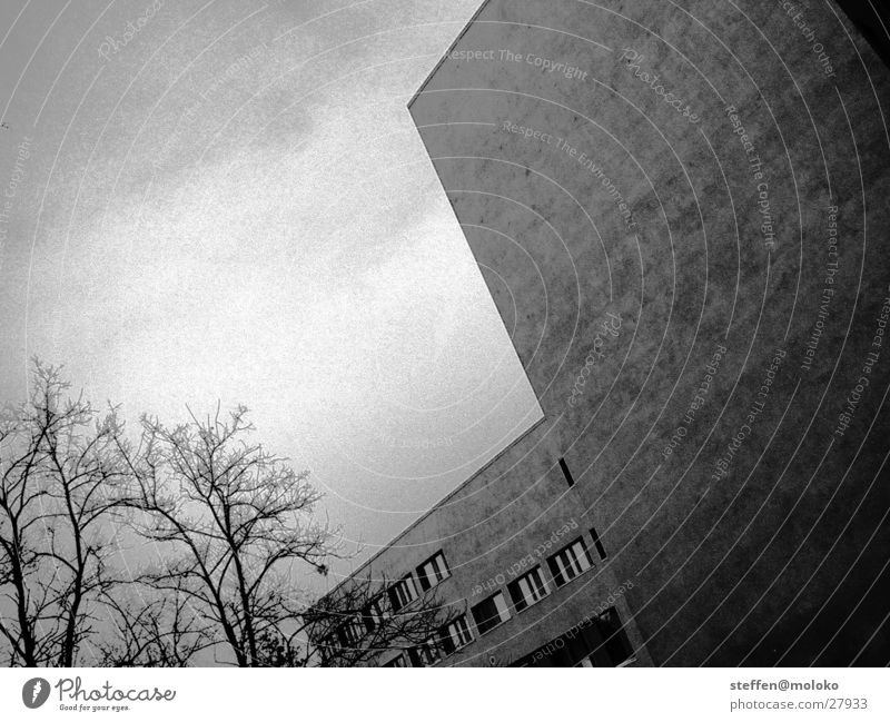 Berlin 2002 Berlin zoo Wall (barrier) Fire wall House (Residential Structure) Window Town New building Plaster Facade Clouds Gray Gloomy Stagger Architecture