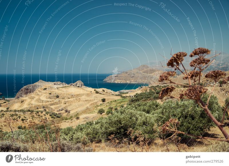 yearning for the sea Nature Landscape Plant Elements Earth Water Cloudless sky Horizon Summer Beautiful weather Bushes Hill Coast Bay Ocean Crete Gloomy Dry