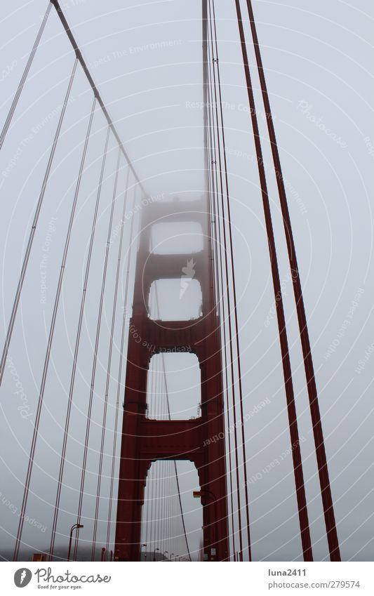 Golden Gate Bridge Sky Fog Town Tourist Attraction Landmark Red San Francisco Colour photo Exterior shot Deserted