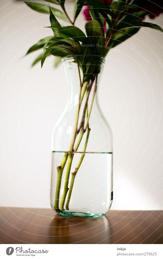 Water Style Decoration Table Flower Bouquet Vase glass vase Simple Fluid Cold Wet Clarity Detail Flower stem Glassbottle Colour photo Subdued colour