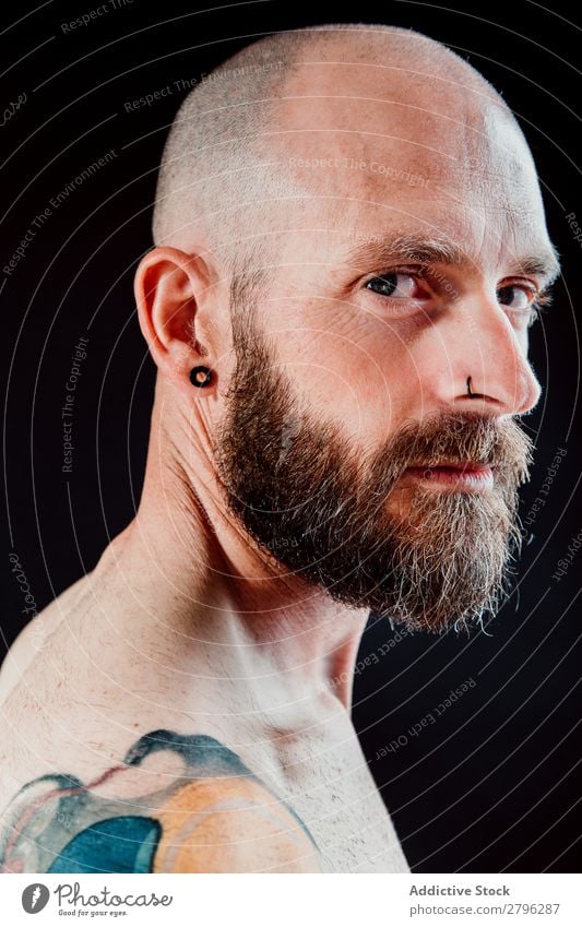 Pensive adult bearded man Man shirtless Hipster Earring Piercing Considerate Bald or shaved head Guy handsome Head Cool (slang) Studio shot hairless Interest
