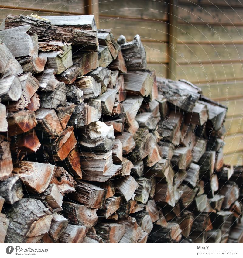 Wood before the ... Dry Brown Firewood Branch Tree trunk Heap Wooden board Wooden hut Colour photo Exterior shot Pattern Structures and shapes Deserted