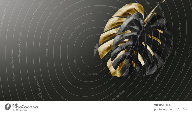 Black and gold Monstera leaves on black Luxury Style Design Summer Event Decoration Hip & trendy Arranged Background picture Glamor Leaf Plant Gold Suspended