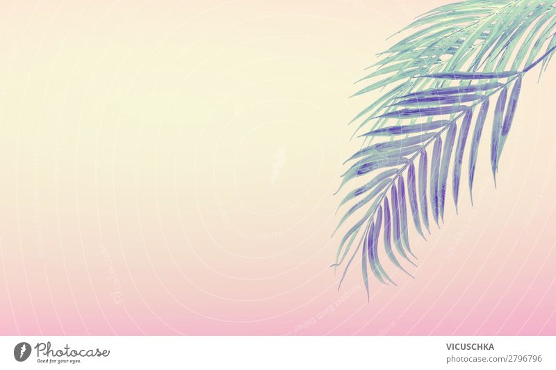 Big summer sale background with palm Royalty Free Vector