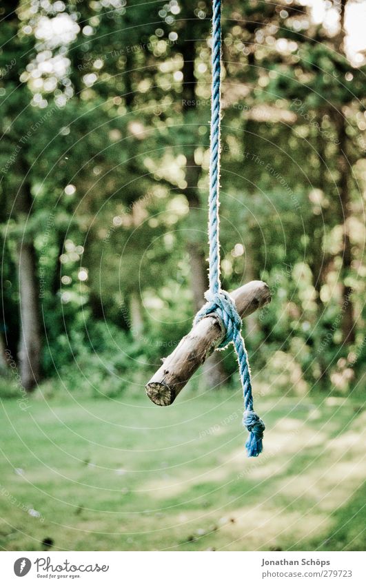 hanging sticks Environment Nature Sun Sunlight Beautiful weather Garden Park Emotions Contentment Movement Forest Wooden pole Rope Swing Hang Suspended Green