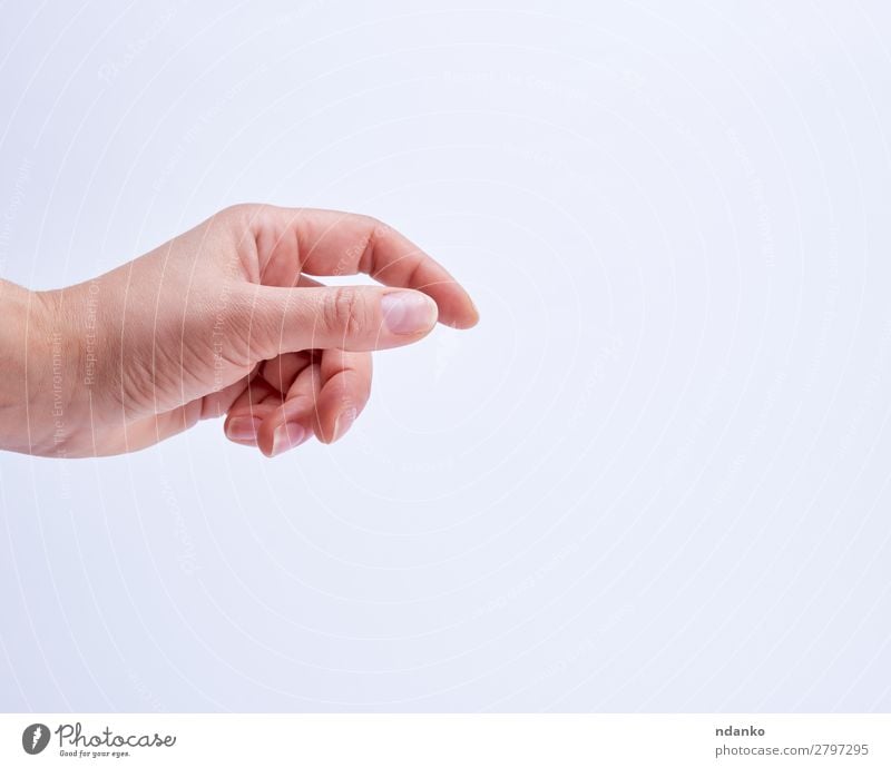 hand showing gesture of holding an object Business Human being Woman Adults Arm Hand Fingers 18 - 30 years Youth (Young adults) To hold on White Idea