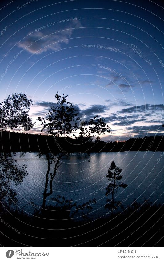 Sweden Summer Forest Lake A Royalty Free Stock Photo From Photocase