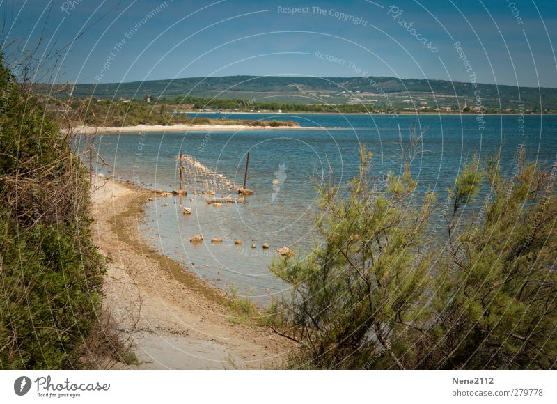 Blue(s) day... Environment Nature Landscape Sand Water Sky Cloudless sky Sunlight Spring Summer Climate Beautiful weather Tree Bushes Beach Ocean Lake Discover