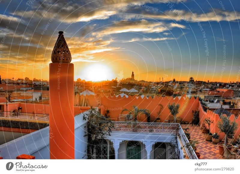 Above the roofs of Marrakech Town Old town House (Residential Structure) Roof Colour Living or residing marrakech Near and Middle East Colour photo