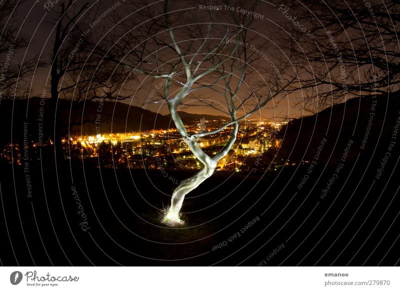the magic tree at night Nature Landscape Tree Hill Mountain Town Downtown Populated Illuminate Exceptional Dark Kitsch Yellow Black Esthetic Loneliness Energy