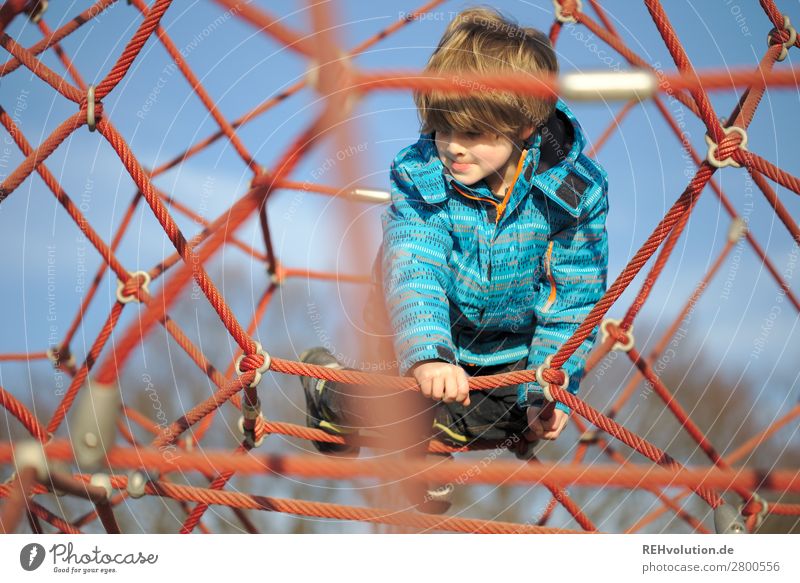 Child in a playground Girl Full-length Day Exterior shot Colour photo Fear To hold on Tall Above Playful Rope Climbing Adventure Effort Fear of heights Joy Blue