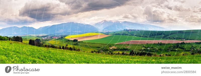 Spring storm in mountains panorama. Dandelion meadow. Vacation & Travel Tourism Trip Adventure Far-off places Freedom Summer Mountain Living or residing