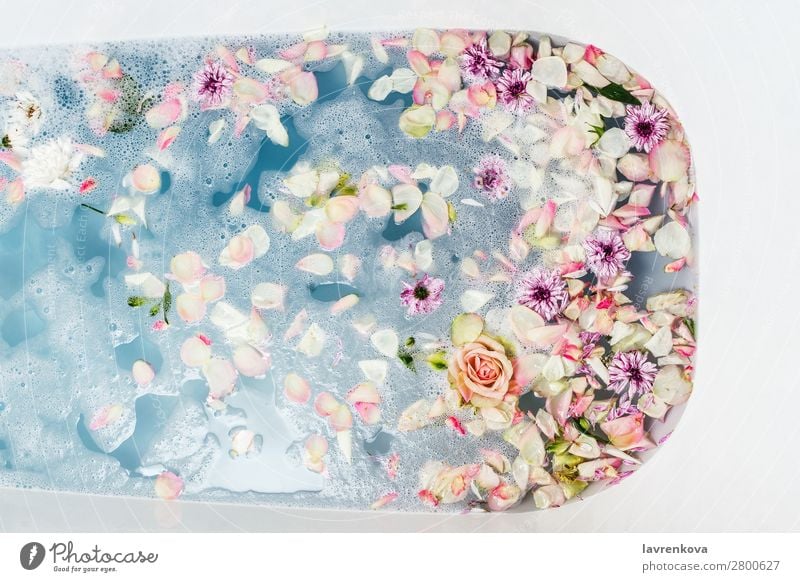 Bath Filled With Blue Bubble Water Flowers And Petals A Royalty Free Stock Photo From Photocase