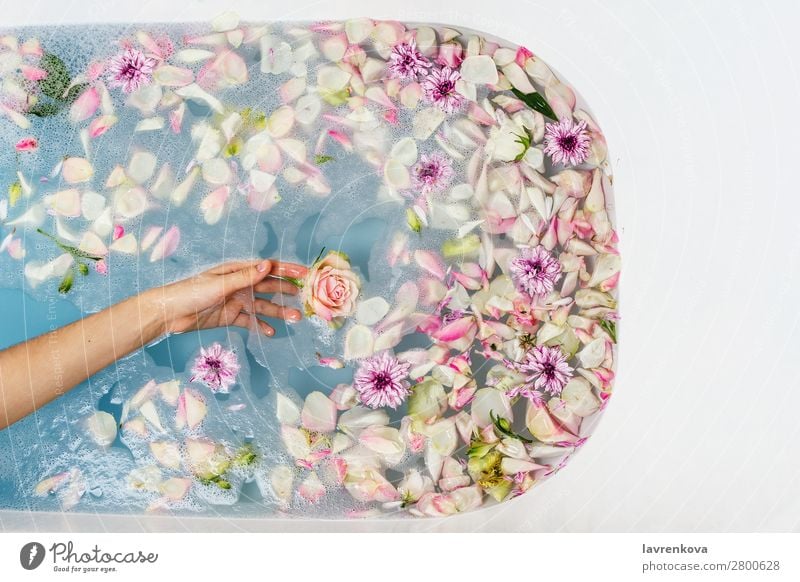bath filled with water, flowers and petals with woman's hand Woman Fingers Hand Aromatic Art Swimming & Bathing Bathroom Bathtub Beauty Photography Blossom Blue