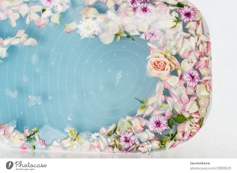 bath filled with blue bubble water, flowers and petals Aromatic Art Swimming & Bathing Bathroom Bathtub Beauty Photography Blossom Blue Bomb Bouquet Clean
