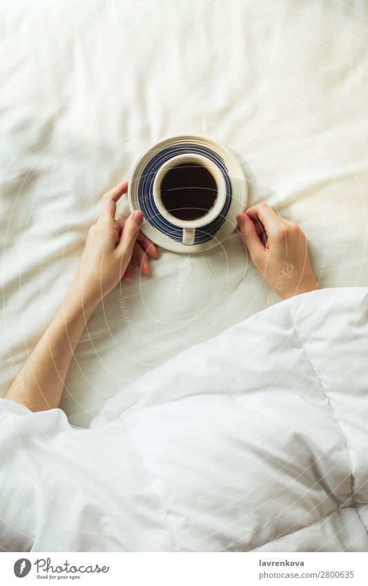Flatlay of woman's hands covered by blanket holding coffee Beautiful Bedroom Breakfast Coffee Safety (feeling of) Cozy Cup Beverage Woman flatlay Young woman