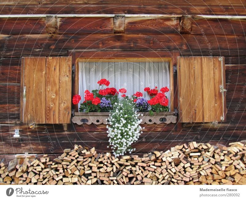 Window of a wooden hut with flower box Summer Flower Pot plant Alps Hut Window box Wood Blossoming Original Brown Red White Nature Vacation & Travel Style