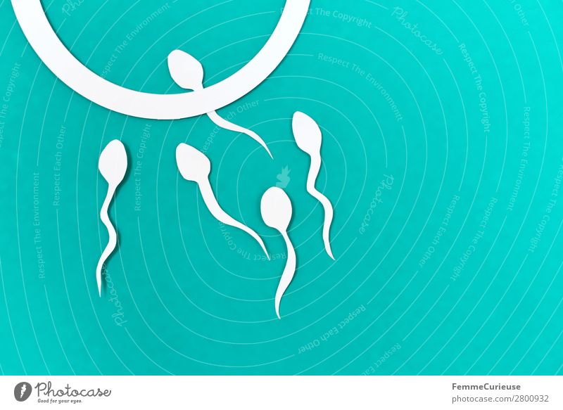 Reproduction - Sperm swimming to egg cell Sign Sex Sexuality Egg cell Fertilization Turquoise Propagation Symbols and metaphors Illustration White