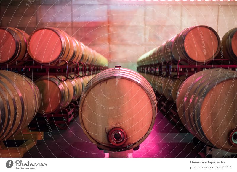 Wine barrels stored in a winery on the fermentation process Winery Cellar Keg Wood Vintage oak Storage Drinking Beverage flavor Glass Production Line Factory