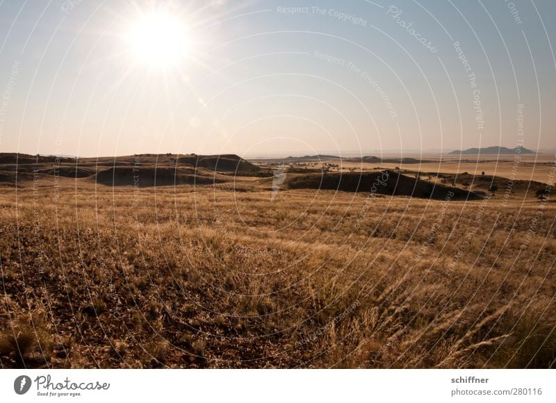 vast country Environment Nature Landscape Plant Cloudless sky Climate Beautiful weather Grass Desert Infinity Steppe Far-off places Vantage point Hill Drought