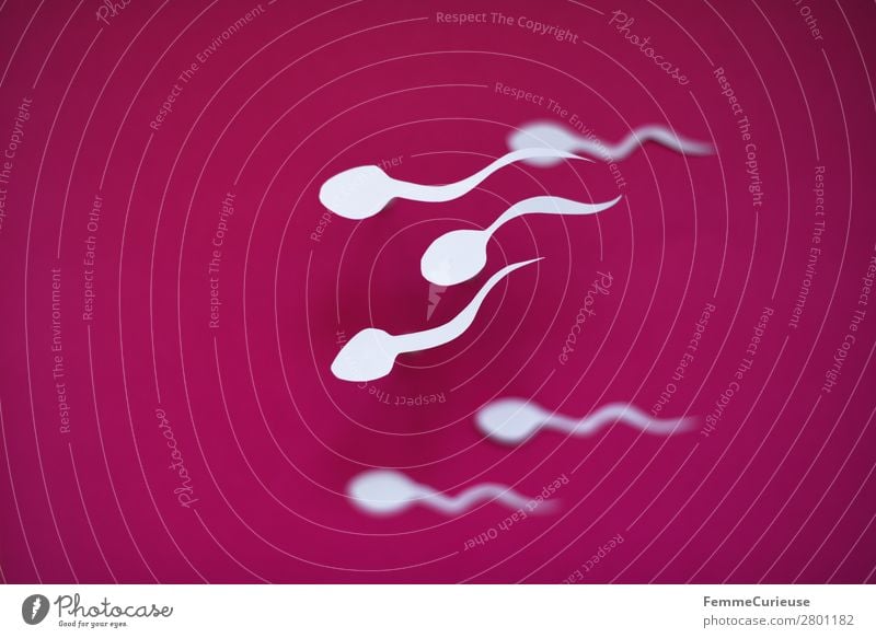 Symbol picture - a group of swimming sperm Sign Sex Sexuality Sperm White Pink Paper Symbols and metaphors Illustration Graph Propagation Fertile Pregnant