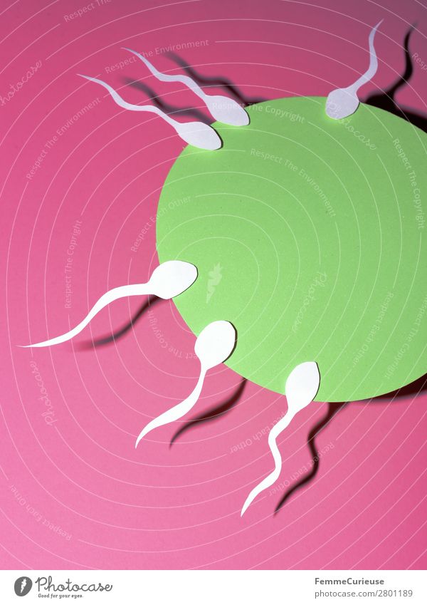 Reproduction - Sperm swimming to egg cell Sign Sex Sexuality Egg cell Pink White Green Fertilization Fertile Propagation Childhood wish Pregnant Paper Low-cut