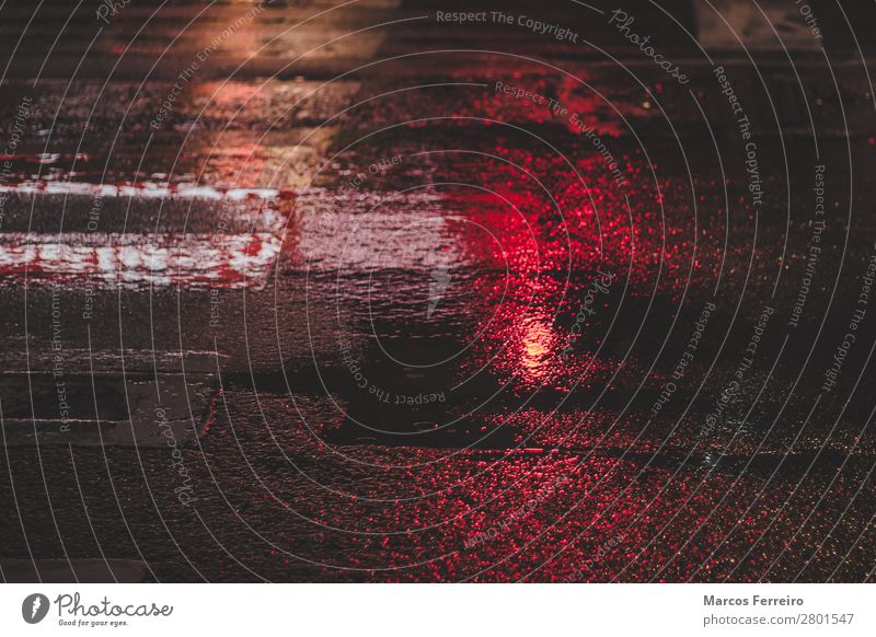 wet asphalt with red light reflection Elements Bad weather Rain Town Street Crossroads Traffic light Water Cold Wet Colour photo Exterior shot Deserted Night