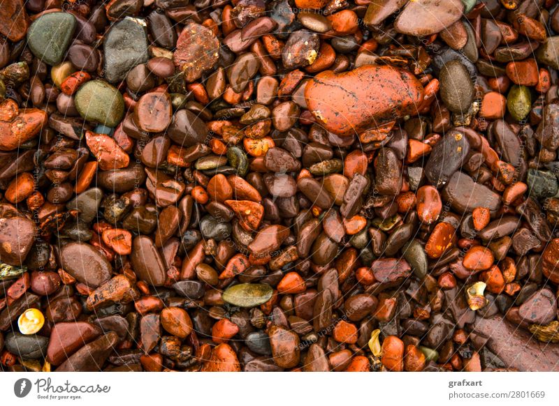 Wet Red Pepples At Atlantic Coast in Scotland arrangement background beach beautiful brown close closeup coast coastal colorful concept decorative design detail