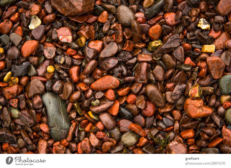 Wet Red Pepples At Atlantic Coast in Scotland arrangement background beach beautiful brown close closeup coast coastal colorful concept decorative design detail