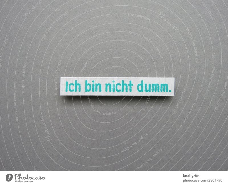 I am not stupid. Stupid self-assessment Text Close-up Characters Letters (alphabet) Typography Communicate writing Communication Word communication Signage