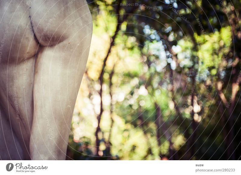 Poetically beautiful: a shapely backside - a Royalty Free Stock Photo from  Photocase