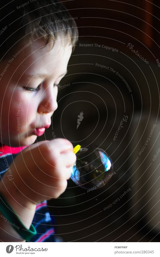 Learning to Blow Bubbles Children's game Head Hand 1 Human being 3 - 8 years Infancy Effort Colour photo Interior shot Copy Space right Light Shadow Contrast