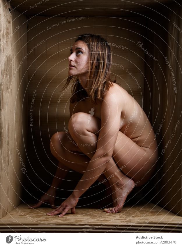 Back view of sensual naked woman sitting in limits of carton box looking up  stock photo