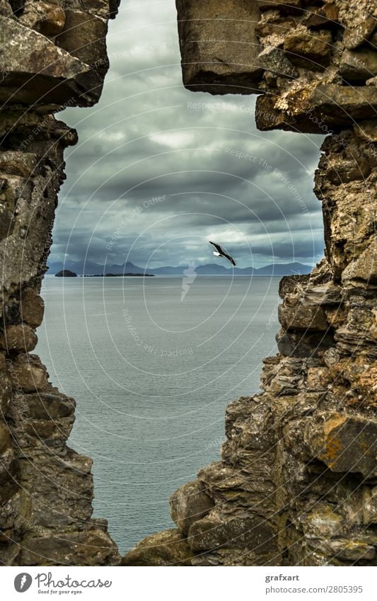 Stone window at Duntulm Castle on the Isle of Skye Atlantic Ocean Vantage point View from a window Vista Window Flying Floating Flight of the birds Past