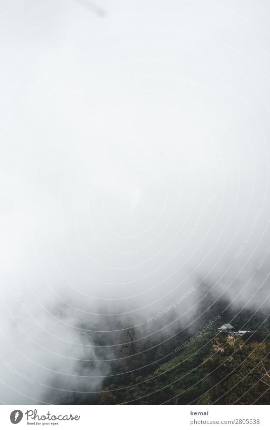 in the fog Calm Adventure Far-off places Freedom Expedition Nature Landscape Air Weather Fog Bushes Forest Virgin forest Hill Mountain Costa Rica