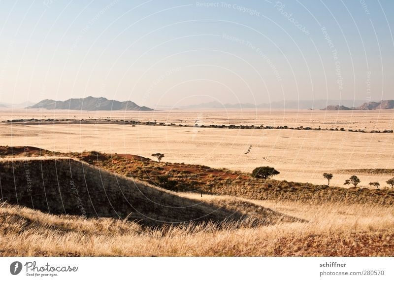 tyre marks Nature Landscape Cloudless sky Desert Dry Vantage point Far-off places Hill Steppe Dune Marram grass Beach dune Horizon Skid marks Dry river