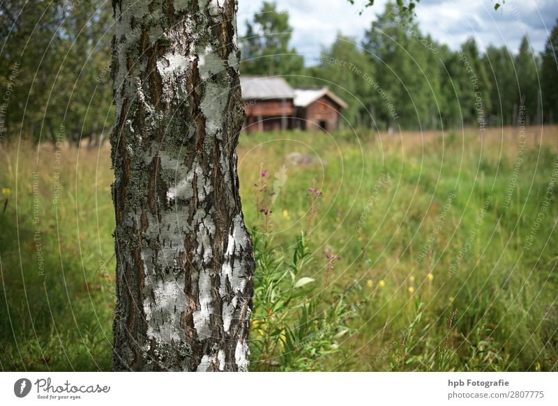 Swedish farmhouses Vacation & Travel Tourism Far-off places Summer Summer vacation Hiking Advancement Future Renewable energy Environment Nature Landscape