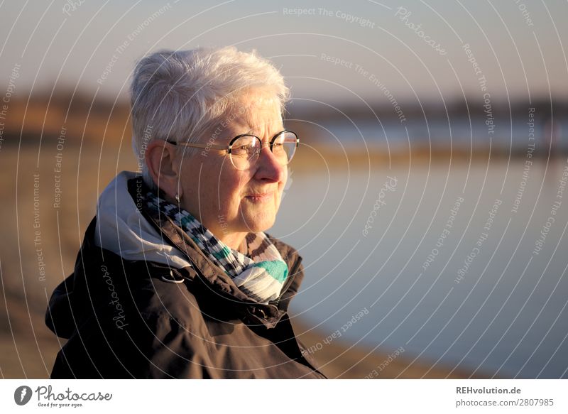 Senior in the evening light looks into the distance Senior citizen Lake Water wide Far-off places Meditative Eyeglasses Jacket Future Worries Nature Environment
