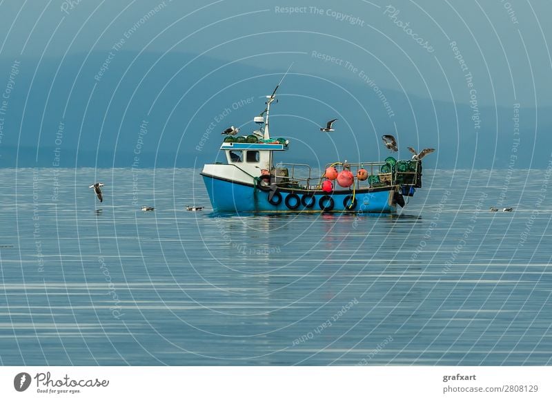 Small fishing boat with seagulls on the Atlantic in Scotland Atlantic Ocean Watercraft Business Catch Fishing (Angle) Fishery Fisherman Gairloch Great Britain