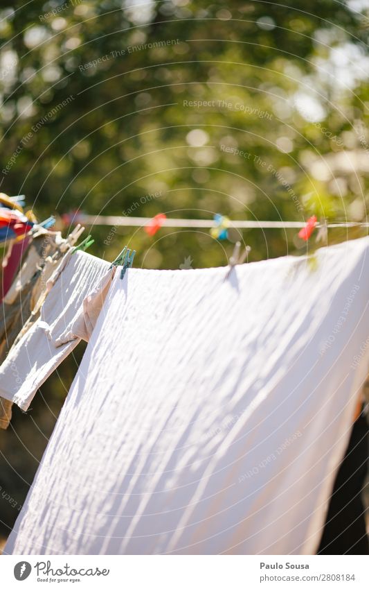 Close-Up Of Clothes Hanging On Clothesline colorful Spring springtime Clothing Clean background nature green natural summer Lifestyle Home Homework Housekeeping
