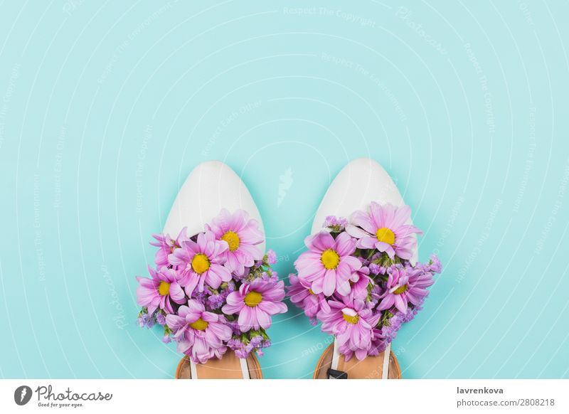Female shoes filled with pink daisies and wildflowers White Blossom leave Feasts & Celebrations Plant Bright Natural Beautiful Floral Style Pastel tone Flower