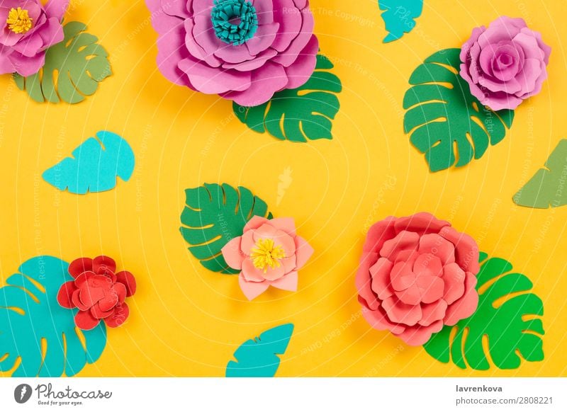Tropical floral background made of papercraft flowers and leaves Cut Daisy Lotus Philodendron Monstera paperart Craft (trade) Art Creativity Beauty Photography
