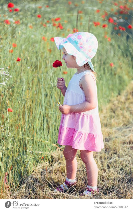 Lovely little girl in the field of wild flowers Lifestyle Joy Happy Beautiful Summer Garden Child Human being Woman Adults Parents Mother Family & Relations 1