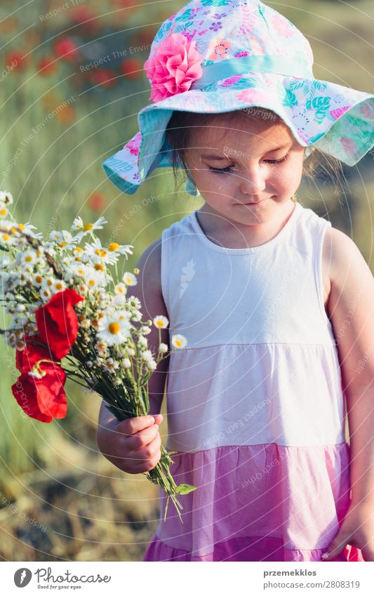 Lovely little girl in the field of wild flowers Lifestyle Joy Happy Beautiful Summer Garden Child Human being Woman Adults Parents Mother Family & Relations 1