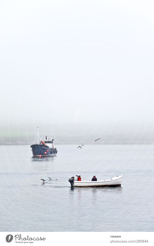 fisher Water Bad weather Fog Waves Coast Bay Ocean Navigation Boating trip Fishing boat Sport boats Motorboat Watercraft Cold Wet Blue Patient Calm