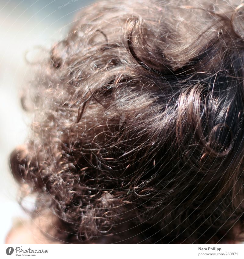 being caught in her hair Beautiful Hair and hairstyles Human being Girl Body Head 1 Brunette Short-haired Curl Observe Illuminate Many Inspiration Fine Delicate